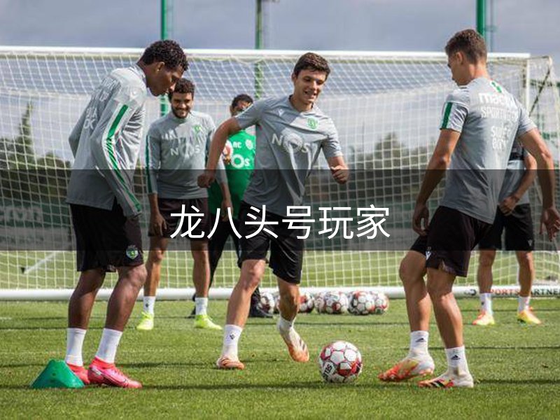 平台介绍